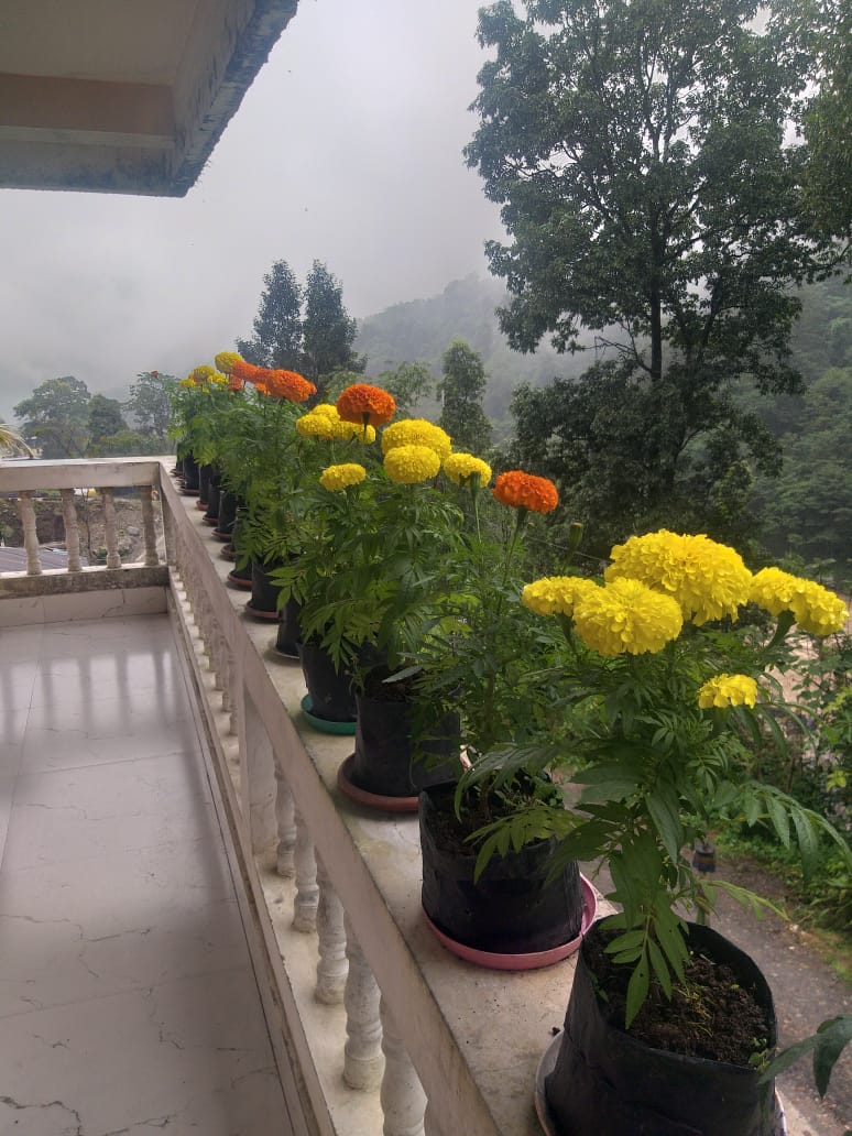 River Valley Homestay